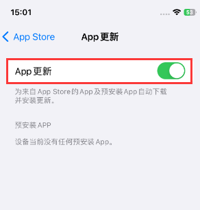 阿克陶苹果15维修中心如何让iPhone15APP自动更新